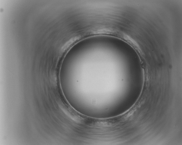 X0000073730298200608101936