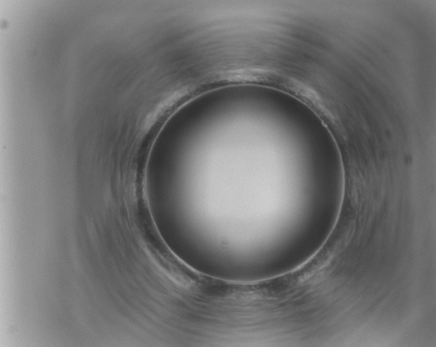 X0000073730299200608101936