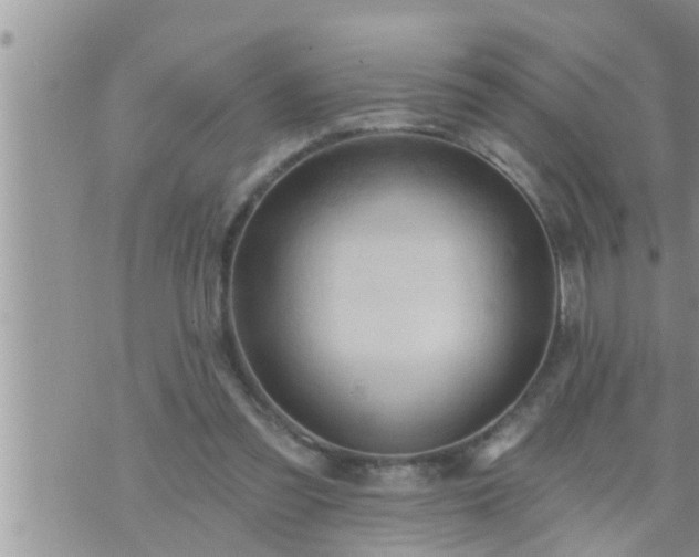 X0000073730301200608101936