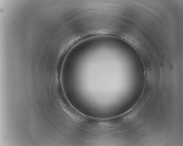 X0000073730302200608101936