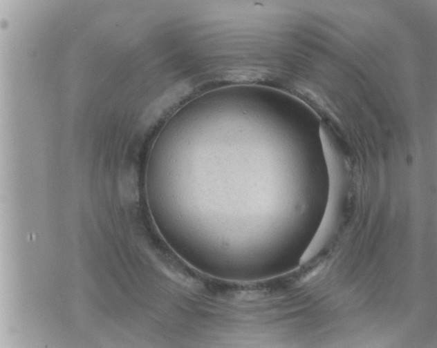 X0000073730303200608101936