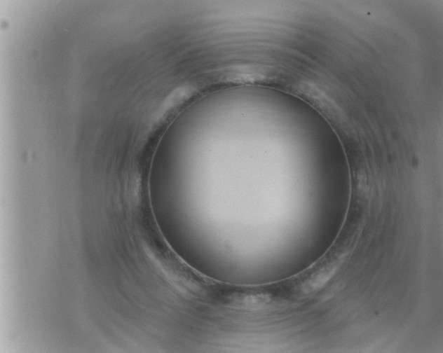 X0000073730304200608101936