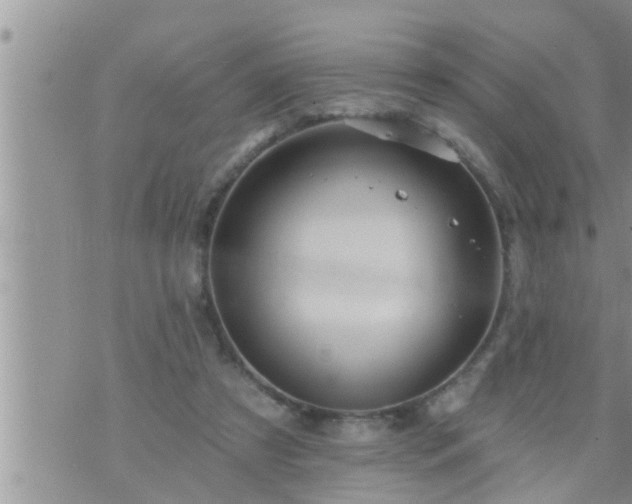 X0000073730305200608101936