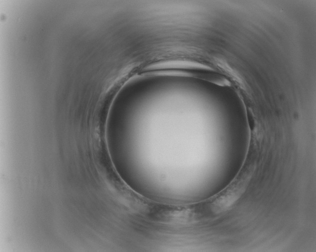 X0000073730306200608101936