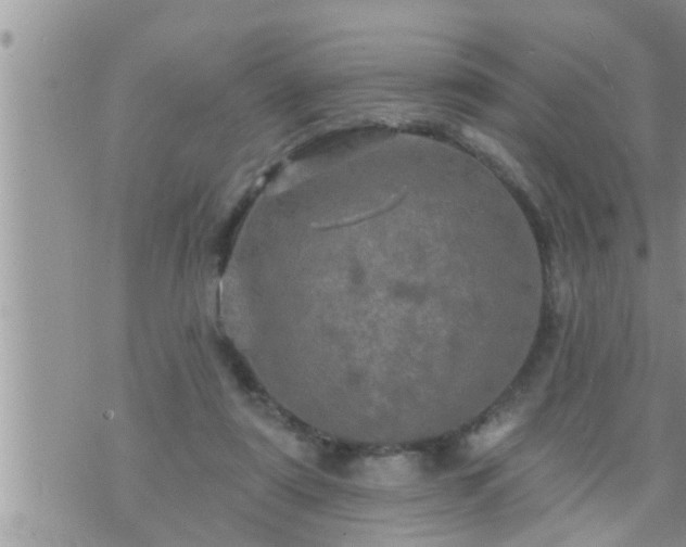 X0000073730307200608101936