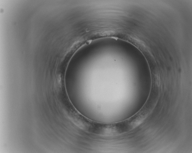 X0000073730308200608101936