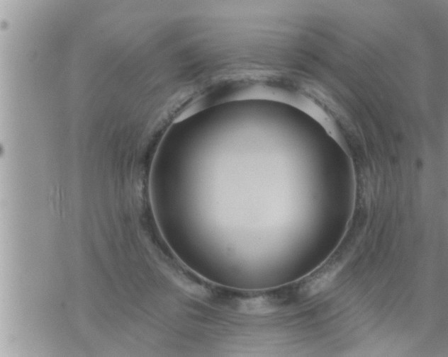 X0000073730309200608101936