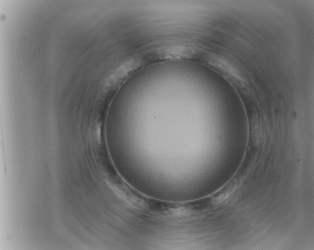 X0000073730310200608101936