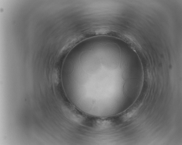 X0000073730311200608101936