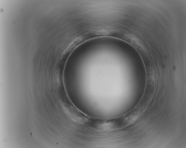 X0000073730312200608101936