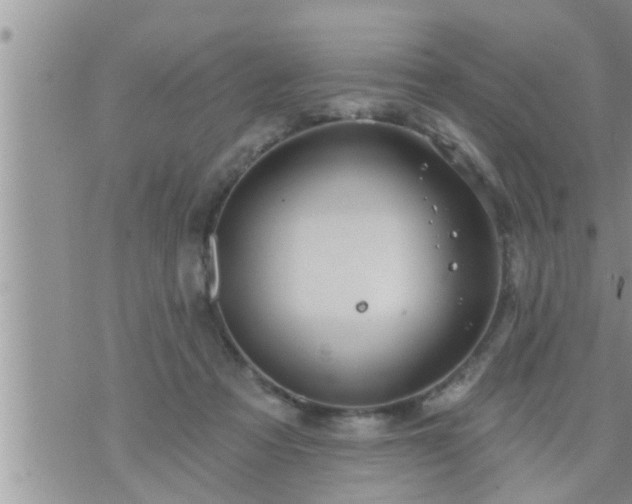 X0000073730313200608101936