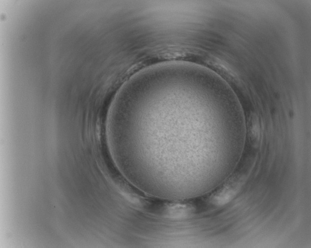 X0000073730315200608101936