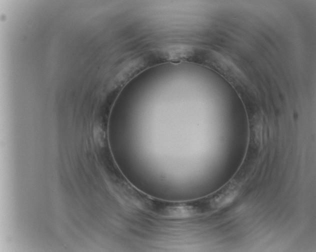 X0000073730316200608101936