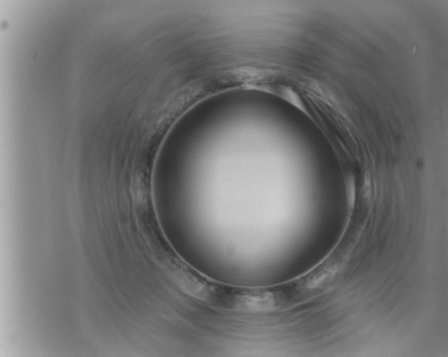 X0000073730317200608101936