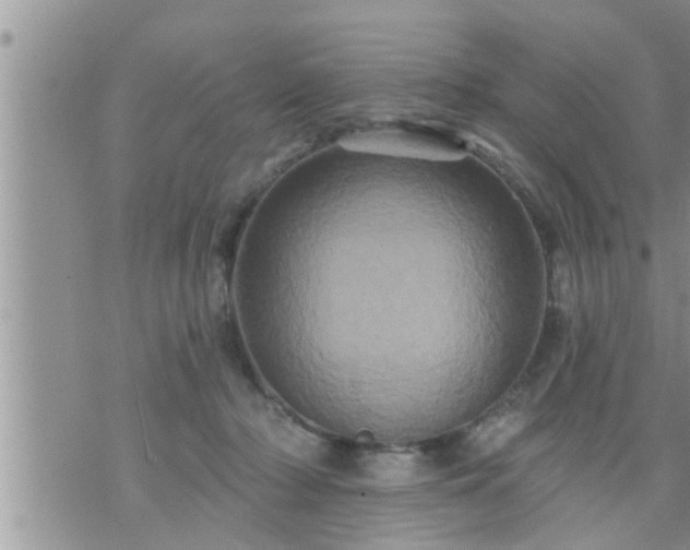 X0000073730318200608101936