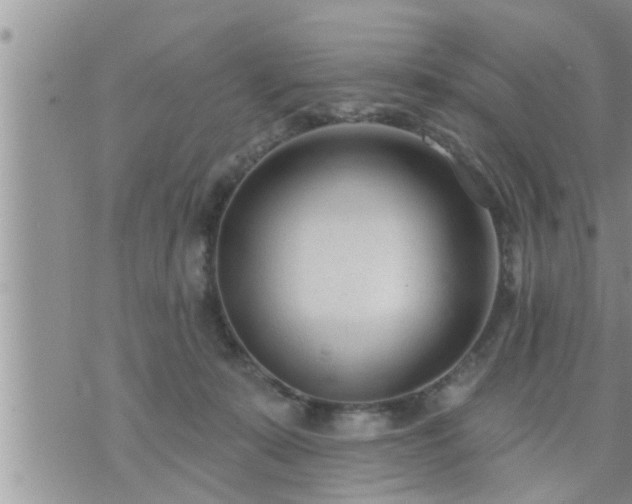 X0000073730319200608101936