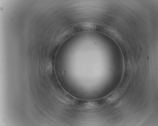 X0000073730320200608101936