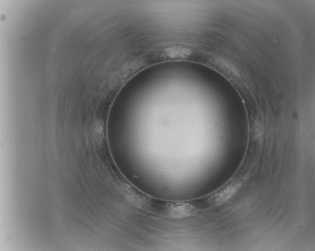 X0000073730321200608101936