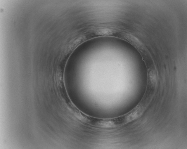 X0000073730322200608101936