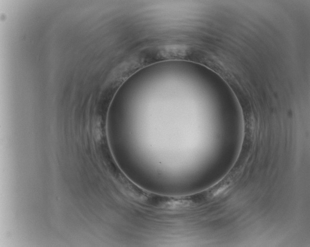 X0000073730323200608101936