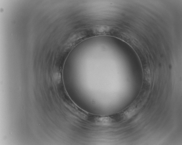 X0000073730324200608101936