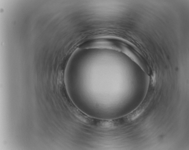 X0000073730325200608101936