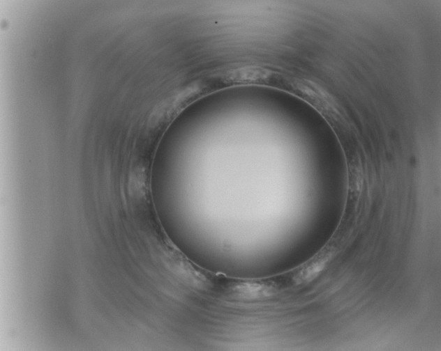 X0000073730326200608101936