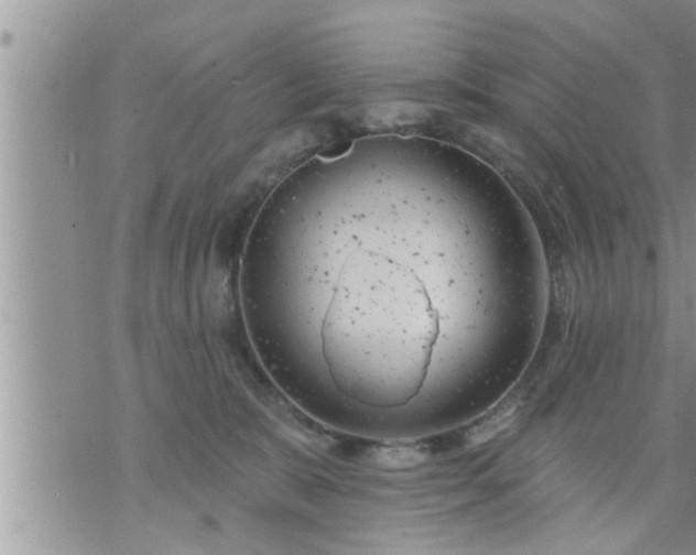 X0000073730327200608101936