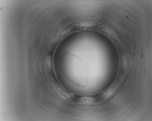 X0000073730328200608101936