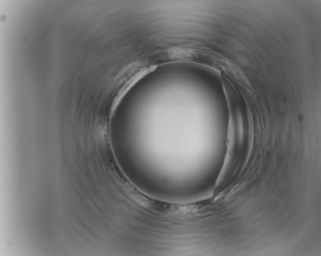 X0000073730329200608101936