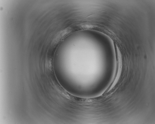 X0000073730330200608101936