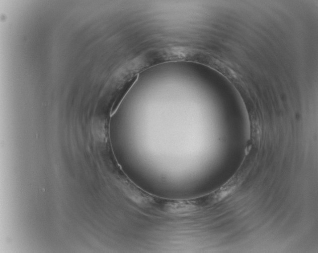 X0000073730331200608101936