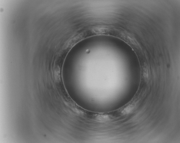 X0000073730332200608101936