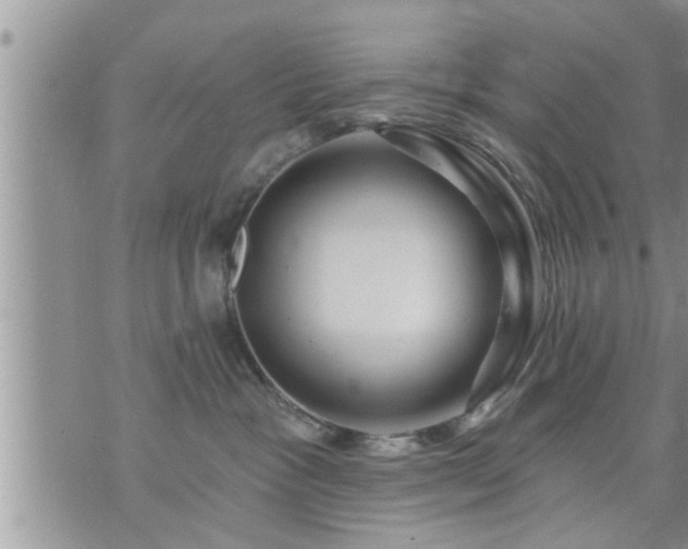 X0000073730333200608101936