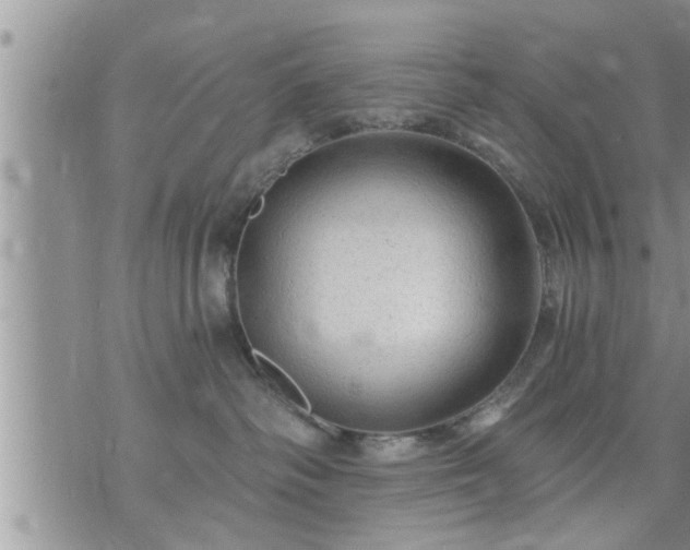 X0000073730334200608101936