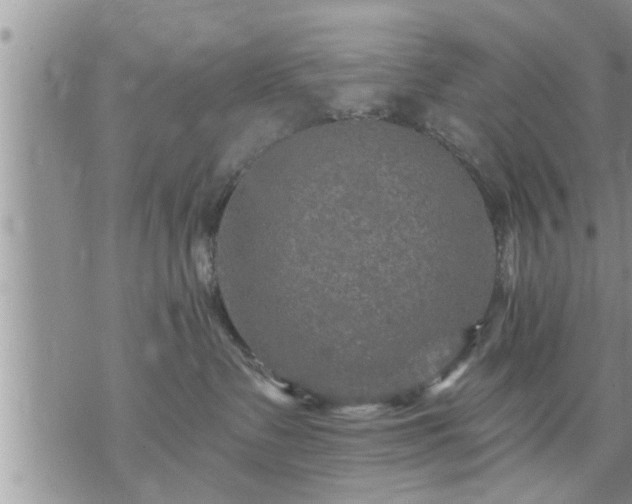 X0000073730335200608101936