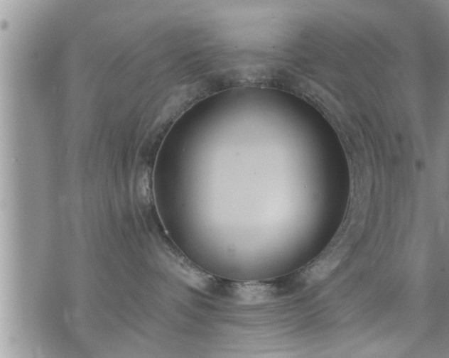 X0000073730336200608101936