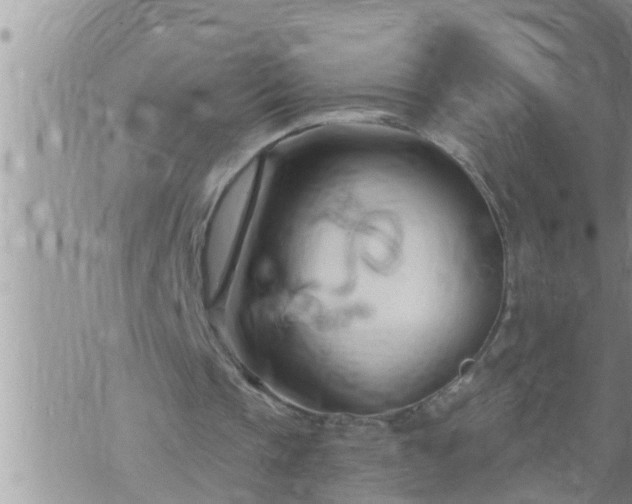 X0000073730337200608101935