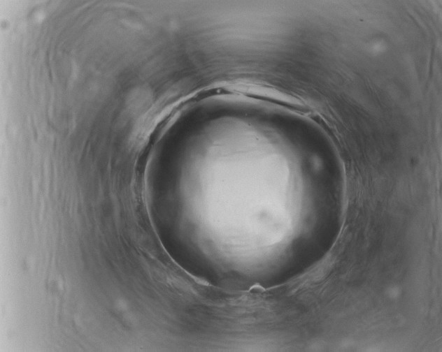 X0000073730338200608101935