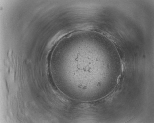 X0000073730339200608101935