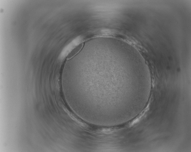 X0000073730341200608101935