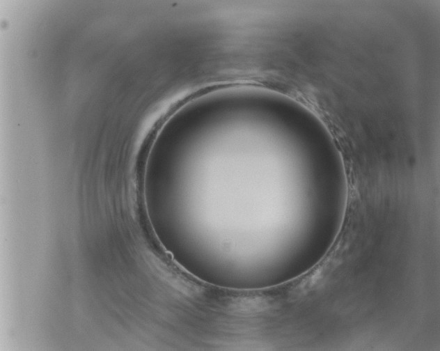 X0000073730342200608101935