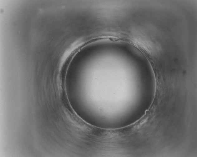 X0000073730343200608101935