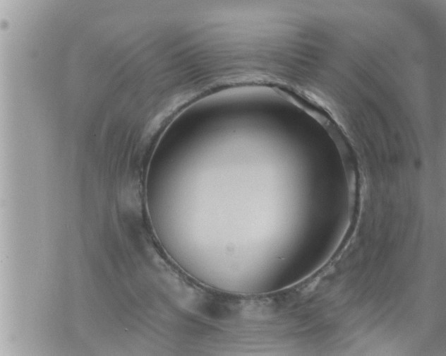 X0000073730345200608101935