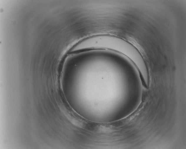 X0000073730346200608101935