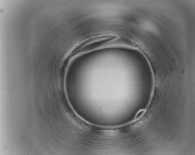 X0000073730347200608101935