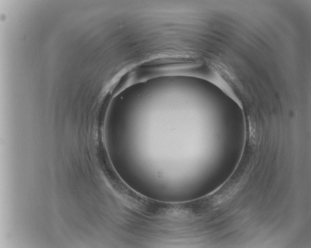 X0000073730348200608101935