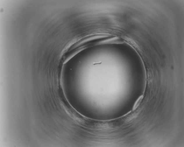 X0000073730349200608101935