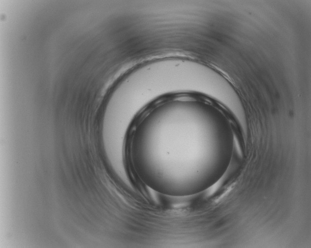 X0000073730350200608101935