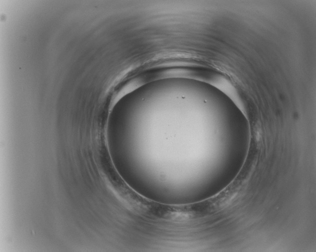 X0000073730352200608101935